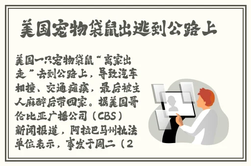 一级无码婬片AA片视频